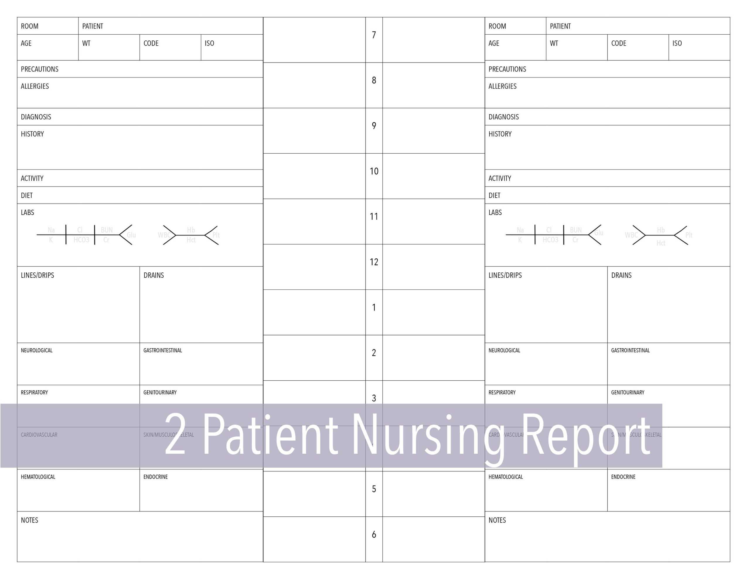 2 Patient Nursing Report Sheet Throughout Nursing Report Sheet Templates
