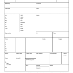 Brain Nurse Report Sheet Template – Nursejanx Store Inside Nurse Shift Report Sheet Template