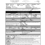 Doctor Report Template—Non Custom Header Throughout State Report Template