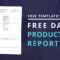 Download Free Daily Production Report Template Regarding Production Status Report Template