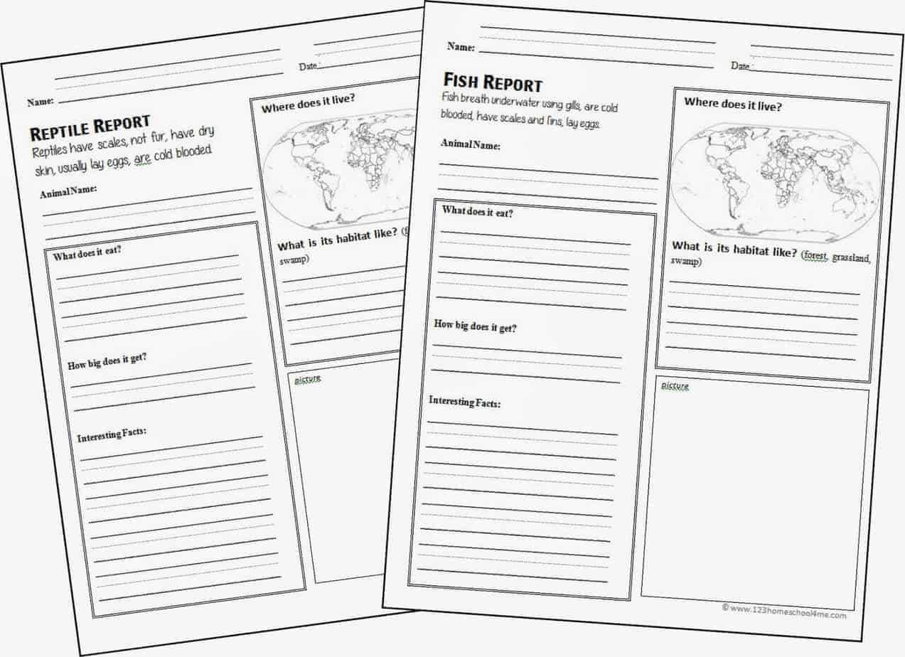 Free Animal Report Form Printable For Homeschool Report Card Template Middle School