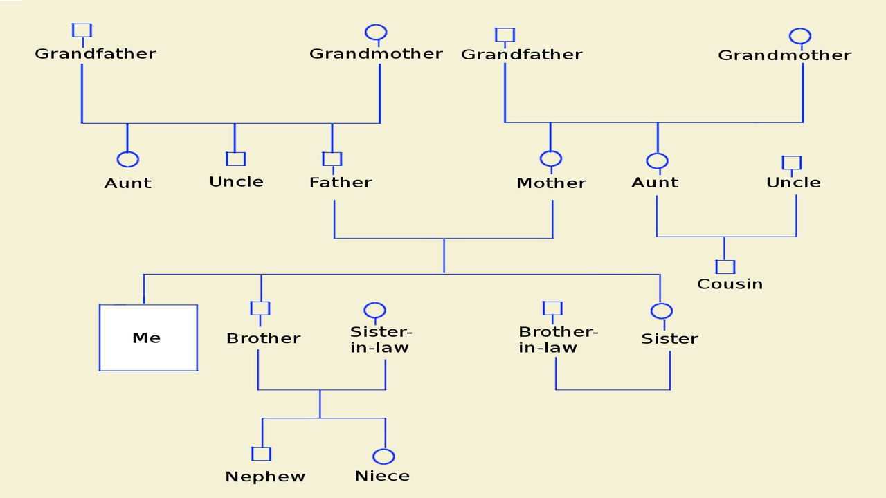 How To Make A Genogram Using Microsoft Word - Tech Spirited With Genogram Template For Word
