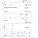 Nurse Brain Sheet Editable – Fill Online, Printable Intended For Nurse Shift Report Sheet Template