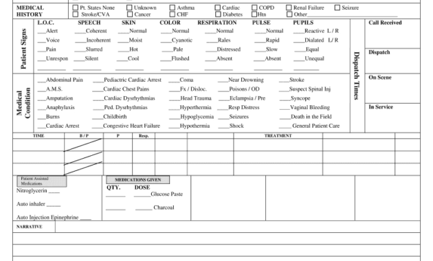 Patient Care Report Template Doc - Fill Online, Printable intended for Patient Care Report Template