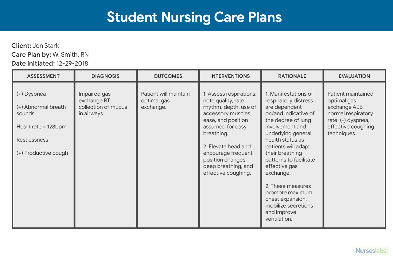 Sample Care Plan - Milas.westernscandinavia In Nursing Care Plan Templates Blank